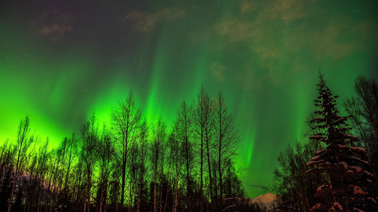 Can You See the Northern Lights From Anchorage?